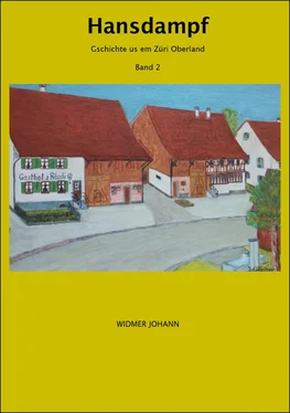 Johann Widmer Hansdampf обложка книги