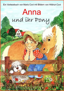 Mario Covi ANNA und ihr Pony обложка книги