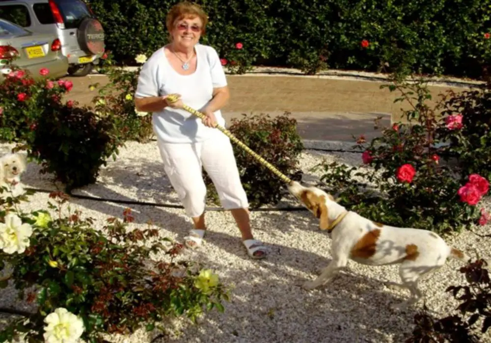 Nach ein paar weiteren Tagen hat Diane eine Hundetransportbox hinter das Haus - фото 10