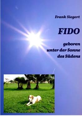 Frank Siegert FIDO - geboren unter der Sonne des Südens обложка книги