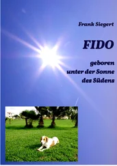 Frank Siegert - FIDO - geboren unter der Sonne des Südens