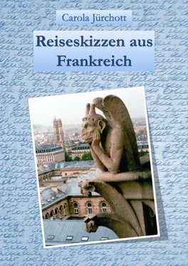 Carola Jürchott Reiseskizzen aus Frankreich обложка книги