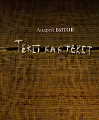Андрей Битов - Текст как текст
