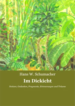 Hans W. Schumacher Im Dickicht обложка книги