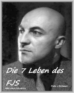 Felix Schwarz Die 7 Leben des FJS обложка книги