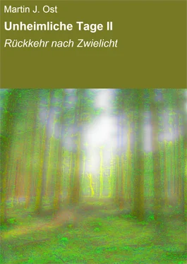 Martin J. Ost Unheimliche Tage II обложка книги