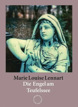 Marie Louise Lennart Die Engel am Teufelssee обложка книги