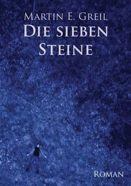 Martin E. Greil Die sieben Steine обложка книги