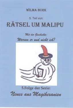 Wilma Burk Rätsel um Malipu 5. Teil обложка книги