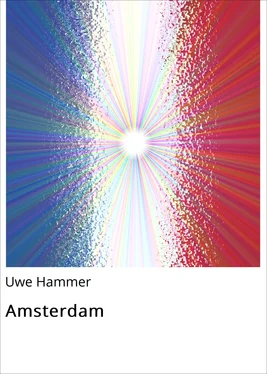 Uwe Hammer Amsterdam обложка книги