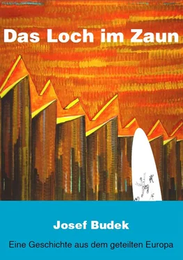 Josef Budek Das Loch im Zaun обложка книги