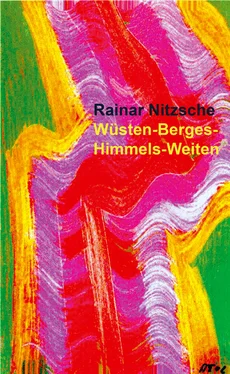 Rainar Nitzsche Wüsten-Berges-Himmels-Weiten обложка книги