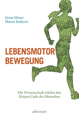 Ernst Minar Lebensmotor Bewegung обложка книги