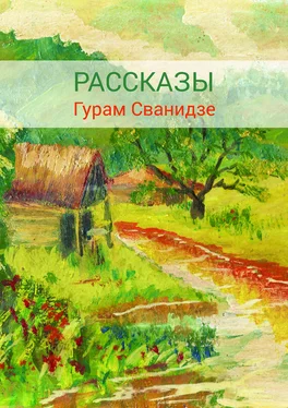 Гурам Сванидзе Сборник рассказов обложка книги