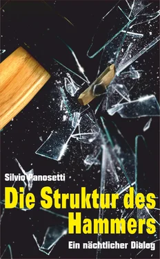 Silvio Panosetti DIE STRUKTUR DES HAMMERS обложка книги