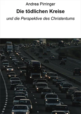 Andrea Pirringer Die tödlichen Kreise обложка книги