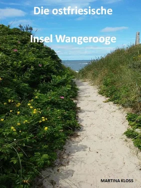 Martina Kloss Die ostfriesische Insel Wangerooge обложка книги