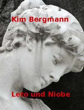 Kim Bergmann Leto und Niobe обложка книги