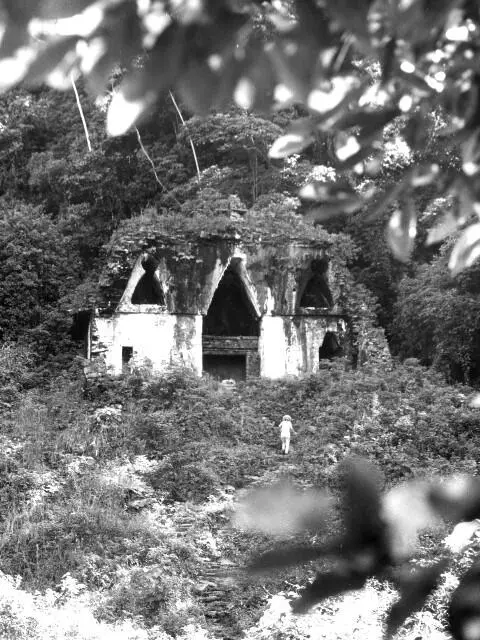 Palenque liegt im Nordosten des Bundesstaats Chiapas der sehr gebirgig ist - фото 11