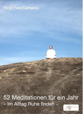 Birgit Feliz Carrasco 52 Meditationen für ein Jahr обложка книги