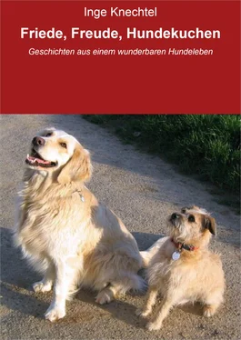 Inge Knechtel Friede, Freude, Hundekuchen обложка книги