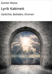 Günter Meise - Lyrik Kabinett