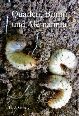 Ha-Jo Gorny Quallen, Bimm und Alemannia обложка книги