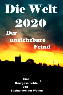 Sabine von der Wellen Die Welt 2020 обложка книги