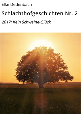 Elke Dedenbach Schlachthofgeschichten Nr. 2 обложка книги