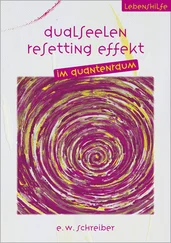 E. Schreiber - Dualseelen Resetting Effekt
