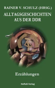 Rainer V. Schulz Alltagsgeschichten aus der DDR обложка книги