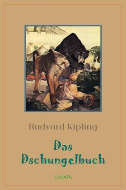 Rudyard Kipling Das Dschungelbuch обложка книги