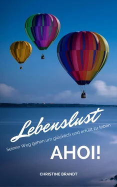 Christine Brandt Lebenslust AHOI!: Seinen Weg gehen um glücklich und erfüllt zu leben обложка книги