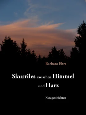 Barbara Ehrt Skurriles zwischen Himmel und Harz обложка книги