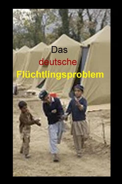 Lutz Gärtner Das deutsche Flüchtlingsproblem обложка книги