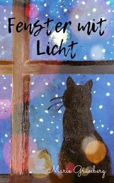 Marie Grünberg Fenster mit Licht обложка книги