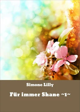 Simone Lilly Für immer Shane ~1~ обложка книги