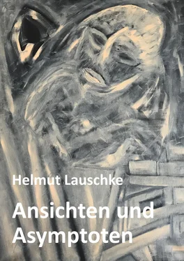 Helmut Lauschke Ansichten und Asymptoten обложка книги