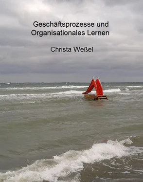 Christa Weßel Geschäftsprozesse und Organisationales Lernen обложка книги