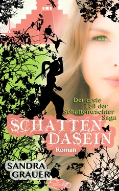 Sandra Grauer Schattendasein - Der erste Teil der Schattenwächter-Saga обложка книги