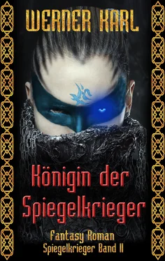 Werner Karl Königin der Spiegelkrieger обложка книги