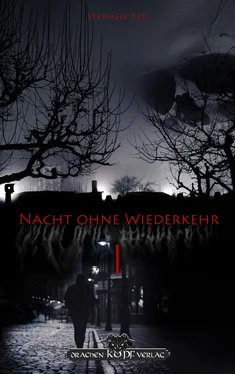Stephen Red Nacht ohne Wiederkehr - Band 1 обложка книги