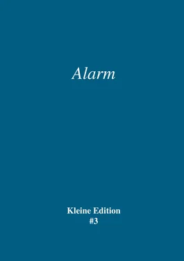 Sabine Theadora Ruh Alarm обложка книги