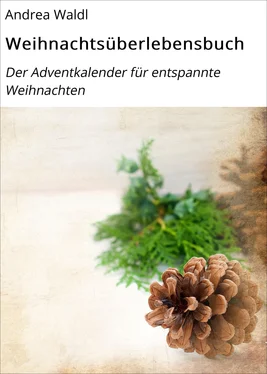 Andrea Waldl Weihnachtsüberlebensbuch обложка книги