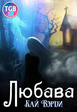 Кай Вэрди Любава обложка книги