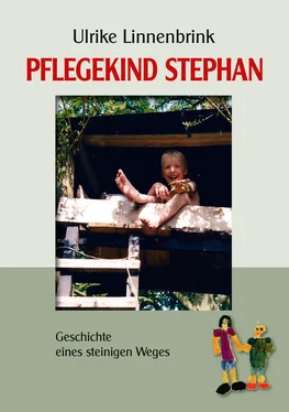 Ulrike Linnenbrink Pflegekind Stephan обложка книги