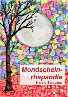 Harald Seredzun Mondscheinrhapsodie обложка книги