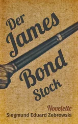 Siegmund Eduard Zebrowski - Der James Bond-Stock