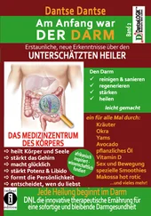 Dantse Dantse - Am Anfang war DER DARM - Erstaunliche neue Erkenntnisse über den UNTERSCHÄTZTEN HEILER