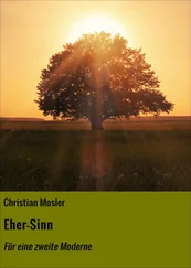 Christian Mosler - Eher-Sinn